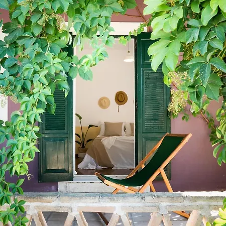 Holiday home Ermioni Tsilivi (Zakynthos)